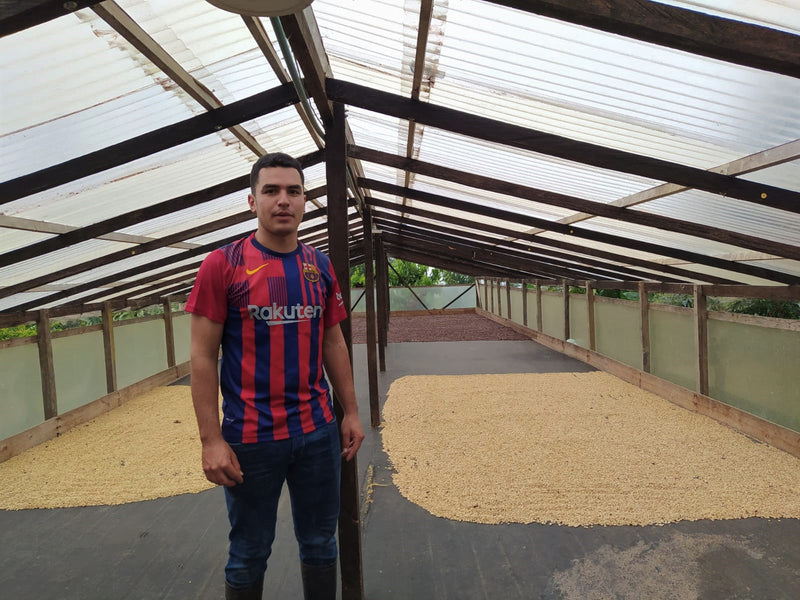 Colombia Huila Acevedo A - 29619-2 - 69.9 kg GrainPro Bags - SPOT COSEATAC
