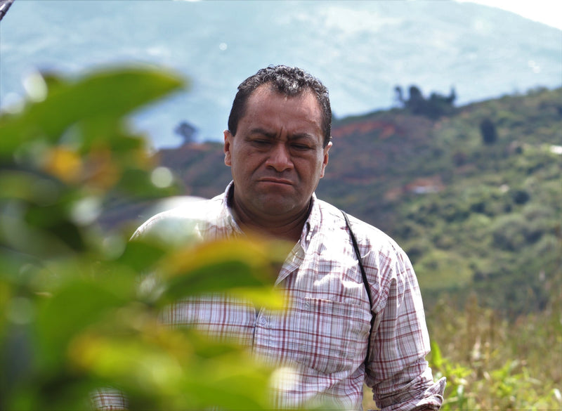 PERU ORGANIC SECTOR EL CAMPO JORGE SILVA - 29911-1 - GrainPro Bags - SPOT RCWHSE