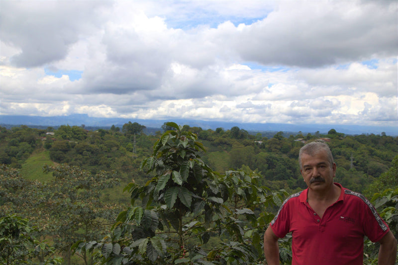 Colombia Cauca Caldono Jose Betancur AAA - 29613 - 69.9 kg GrainPro Bags - SPOT RCWHSE