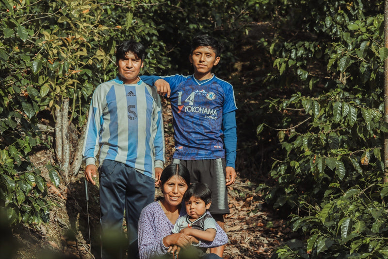 BOLIVIA FT ORGANIC COOP SAN JUAN - *52009* - 27862 - 69.0 kg GrainPro Bags - SPOT COSEATAC
