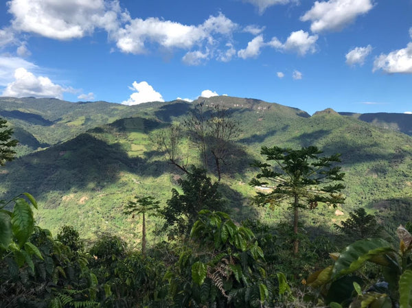 Green mountain landscape in Ecuador