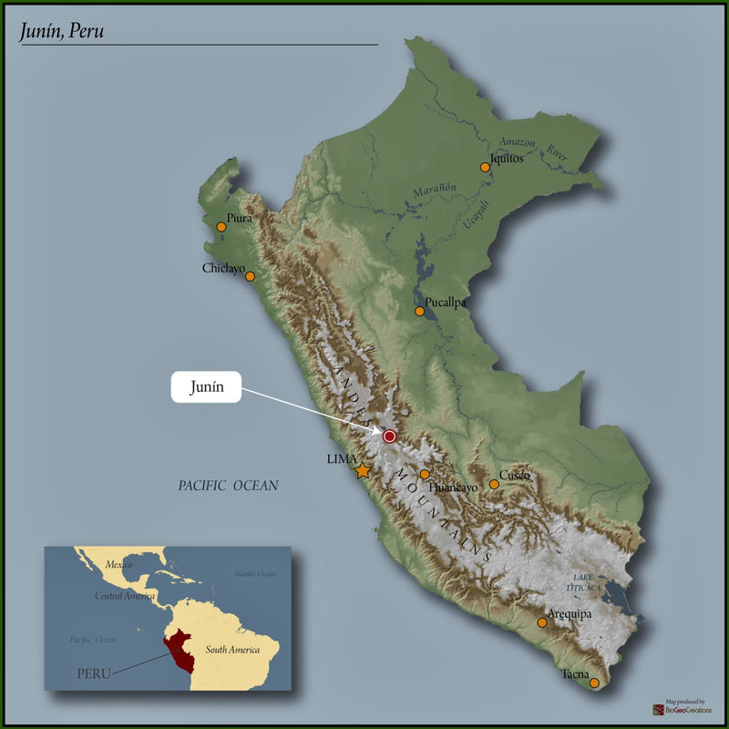 PERU ORGANIC JUNIN PALOMAR BLEND SHB EP - 32148 - GrainPro Bags - SPOT RCWHSE