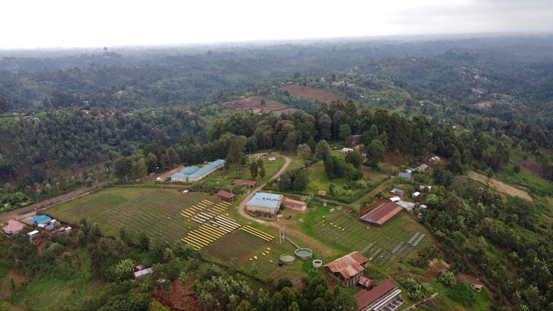 Kenya Kirinyaga Thiririka Kiganjo AB - 12NG0001 *52810* - 27090 - SPOT RCWHSE