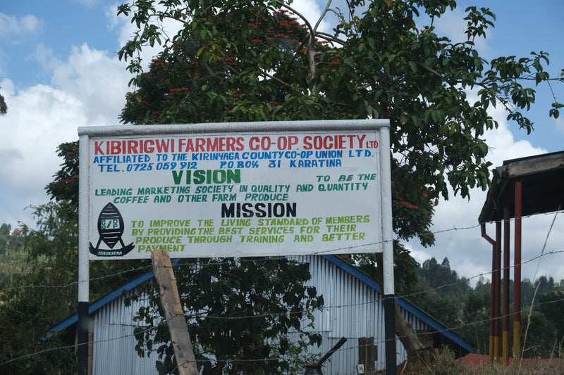 Kenya Kirinyaga Kibirigwi Kiangai AA - APS 3572 - 33816 - 30.0 kg Box/Vacuum Pack - SPOT SHANGHAI