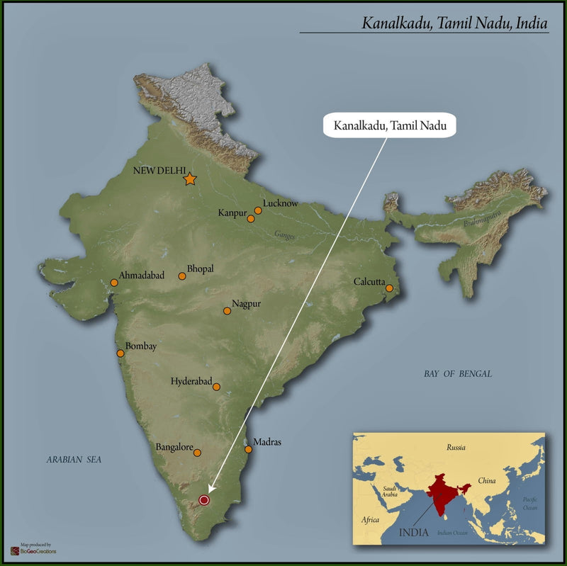 India Tamil Nadu Periyamalai Estate Microlot - 28064 - SPOT RCWHSE