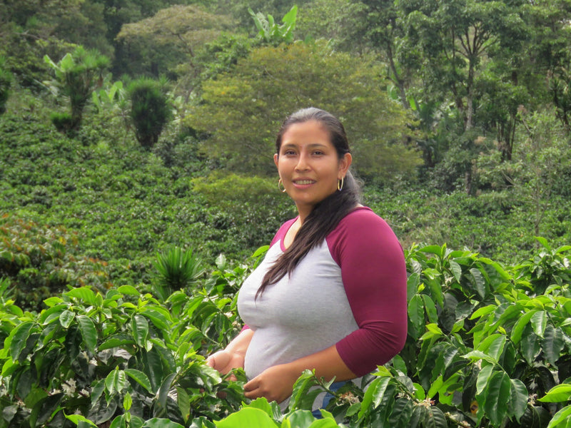 HONDURAS FT ORGANIC KARLA PORTILLO HONEY - *50971* - 25386 - GrainPro Bags - SPOT RCWHSE