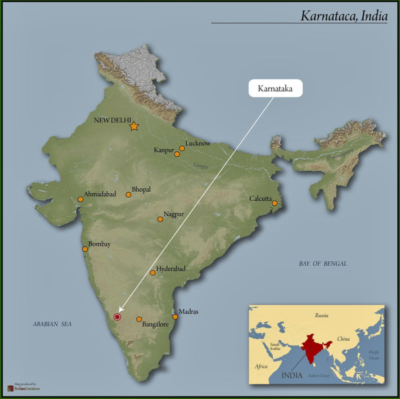 India Kaapi Royal Robusta A, Sc 17 - 32495 - 60.0 kg GrainPro Bags - SPOT SHANGHAI