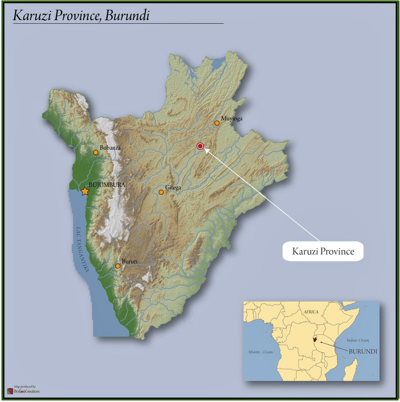Burundi Ubuto-Karuzi Washed - 29712 - GrainPro Bags - SPOT RCWHSE