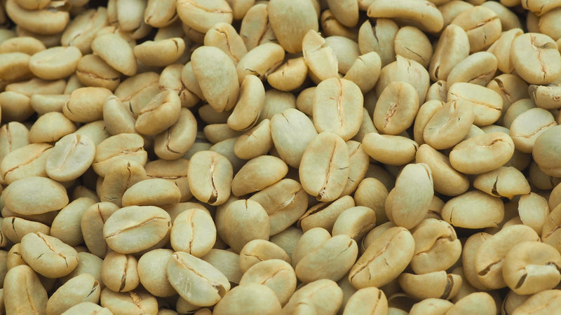 Kenya FT Nyeri Othaya Ichamama Red Cherry Program AA - 18TY0019 - 28208 - GrainPro Bags - SPOT SEAFORTH