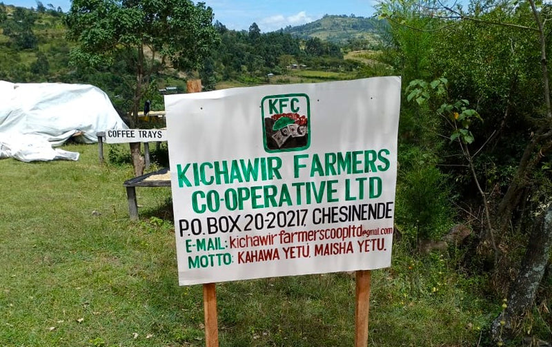 Kenya Kericho Kichawir AB - 14KK0016 - 31072 - GrainPro Bags - SPOT RCWHSE