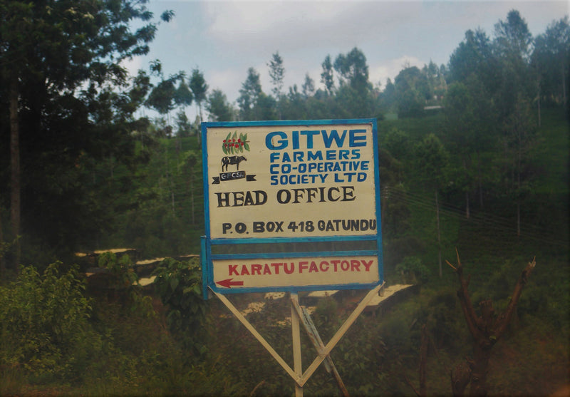 Kenya Kiambu Gitwe Karatu AB - 44KF0060  *51649* - 25565 - GrainPro Bags - SPOT RCWHSE