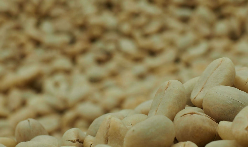 Ethiopia Yirgacheffe 1 Washed Aricha - 33818-1 - GrainPro Bags - SPOT SEAFORTH