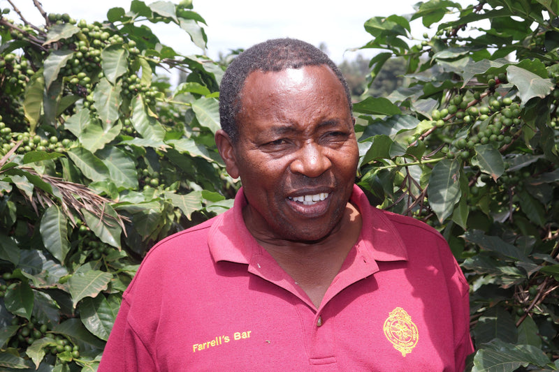 Kenya Kirinyaga Njawato Estate AB - 20CK0115 - 31213 - GrainPro Bags - SPOT RCWHSE