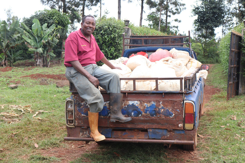 Kenya Kirinyaga Njawato Estate AB - 20CK0115 - 31213 - GrainPro Bags - SPOT RCWHSE
