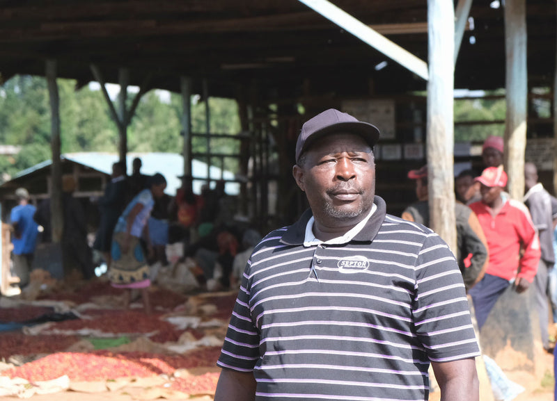 Kenya Kirinyaga Rungeto Karimikui AA - 08NG0116 *52417* - 27434 - Ecotact Bags - SPOT RCWHSE