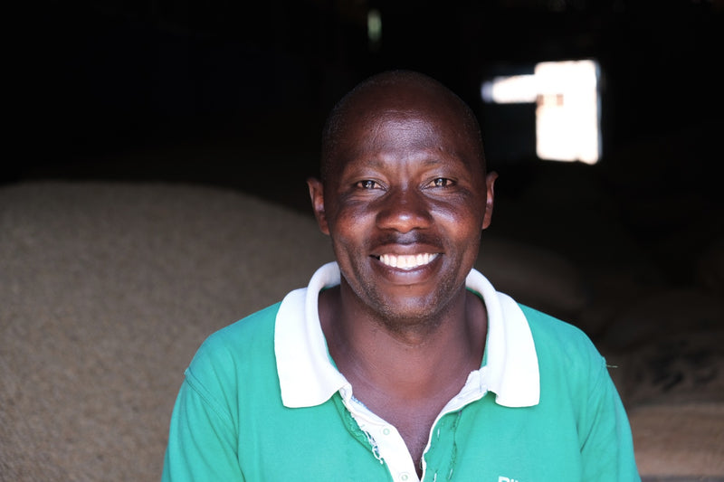 Kenya Kirinyaga Rungeto Kii Peaberry - 08KN0012 - 36564 - GrainPro Bags - SPOT RCWHSE