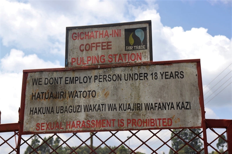 Kenya Nyeri Gikanda Gichathaini AB - 47CK0034 *51638* - 25567 - GrainPro Bags - SPOT RCWHSE