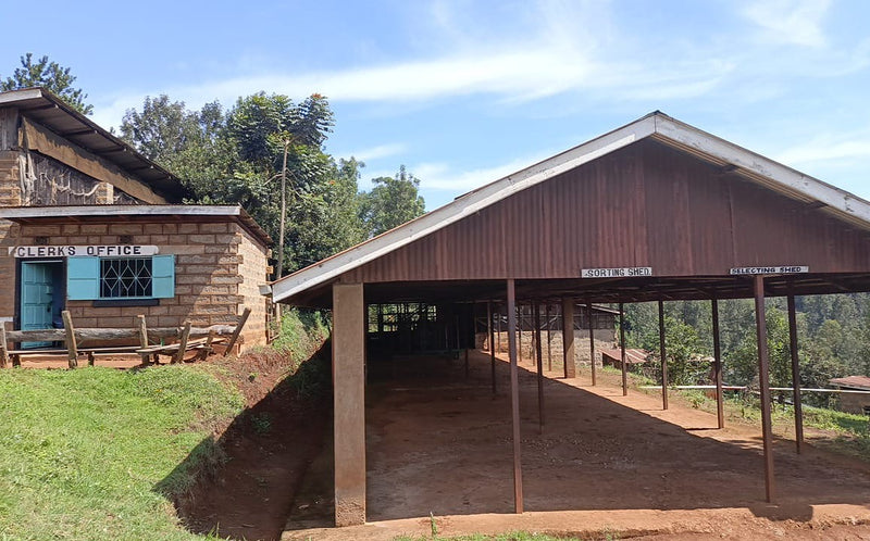 Kenya Nyeri Ndiaini AA - 16TY00018 - 36865 - GrainPro Bags - SPOT RCWHSE