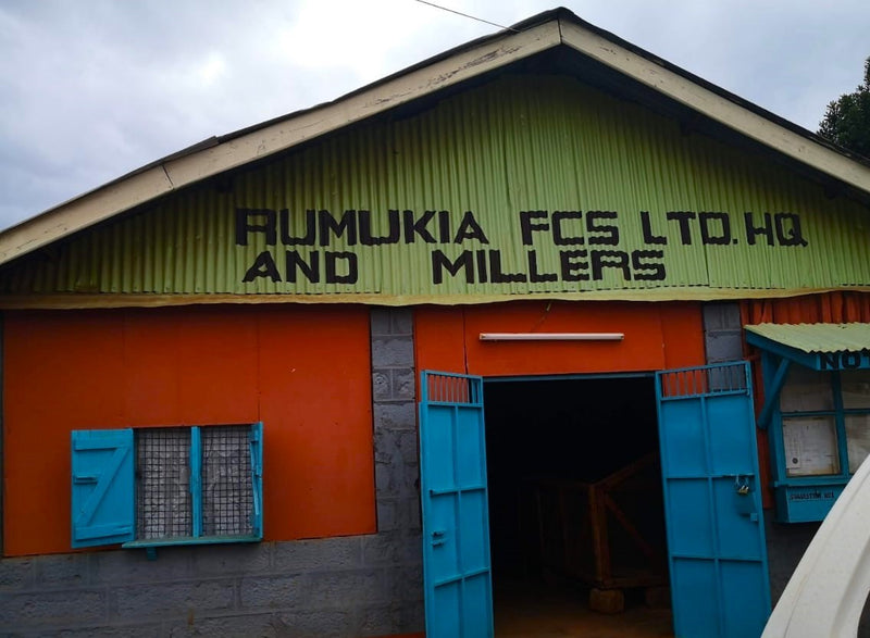 Kenya Nyeri Rumukia Maganjo Peaberry - 17TY0003 - 31066 - GrainPro Bags - SPOT RCWHSE