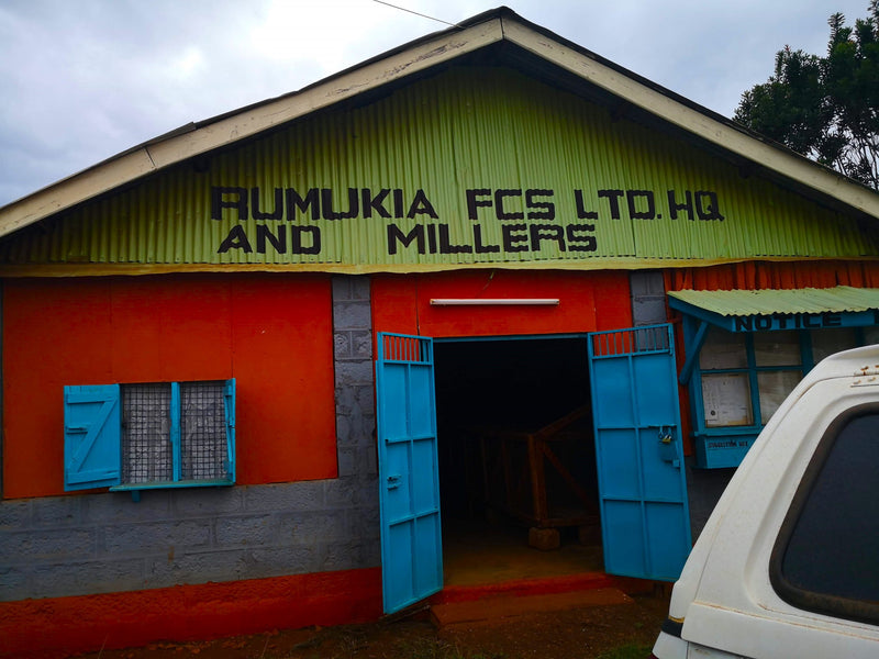 Kenya Nyeri Rumukia Peaberry - 22KE2056 - 31063 - GrainPro Bags - SPOT RCWHSE