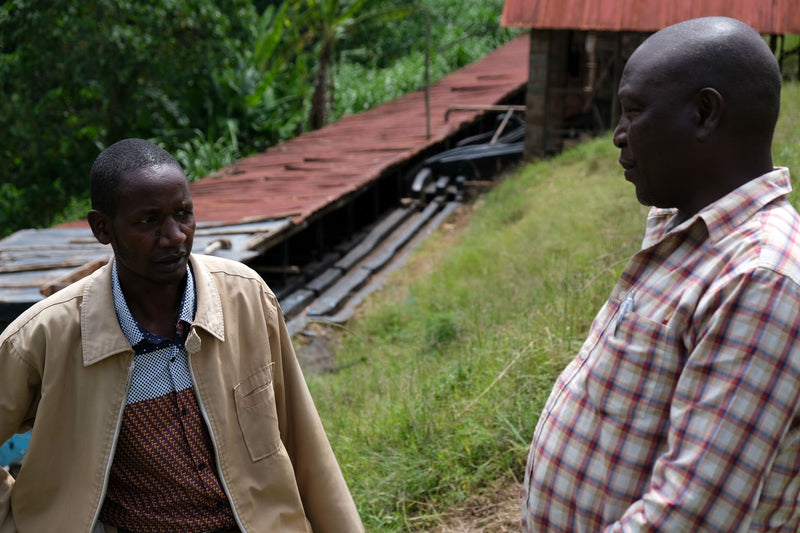 Kenya Nyeri Tekangu Karogoto AB - *47007* - 24797 - Ecotact Bags - SPOT RCWHSE