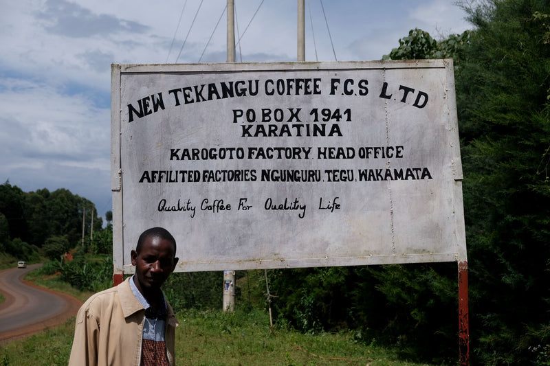 Kenya Nyeri Tekangu Karogoto AA - 12NG0144 *49695* - 24879 - Ecotact Bags - SPOT RCWHSE