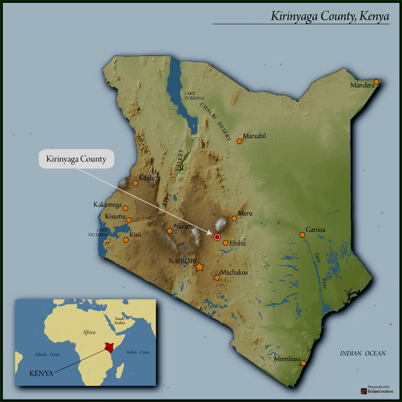 Kenya Kirinyaga Peaberry - 29120 - Ecotact Bags - SPOT RCWHSE