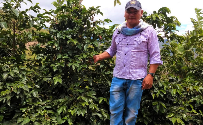 Colombia Narino Los Ingas Honey - *51904* - 27107 - 70.3 kg GrainPro Bags - SPOT RCWHSE