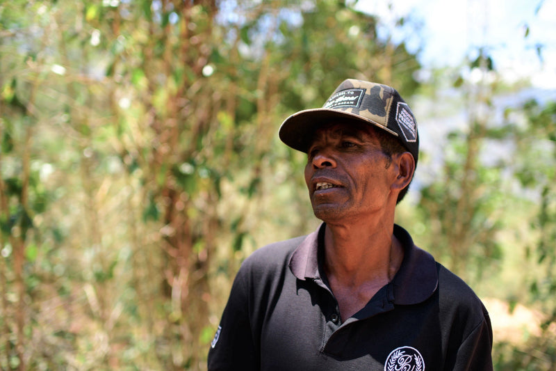 TIMOR LESTE FARMGATE ORGANIC ERMERA LEBUDU KRAIK - 30185 - 30.0 kg GrainPro Bags - SPOT RCWHSE