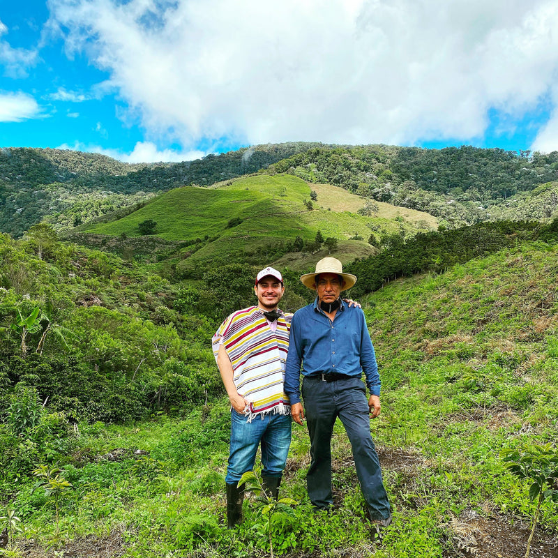 Colombia Huila Finca El Secreto Caturra - 34709 - GrainPro Bags - SPOT RCWHSE