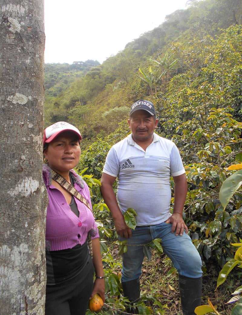 Colombia Cauca Jambalo Liliana Genbuel Paja AAA - 29612 - 69.7 kg GrainPro Bags - SPOT RCWHSE