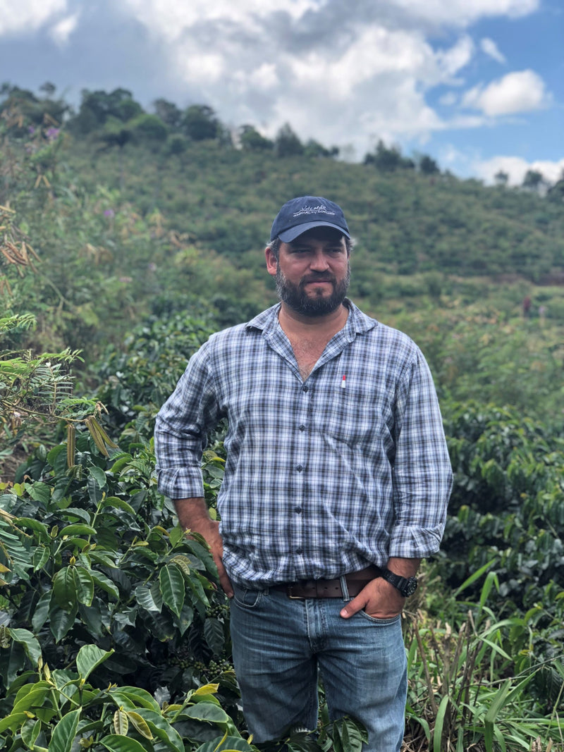 Guatemala Coban Finca Santa Isabel - Perfil Amargo - 31601 - Ecotact Bags - SPOT RCWHSE