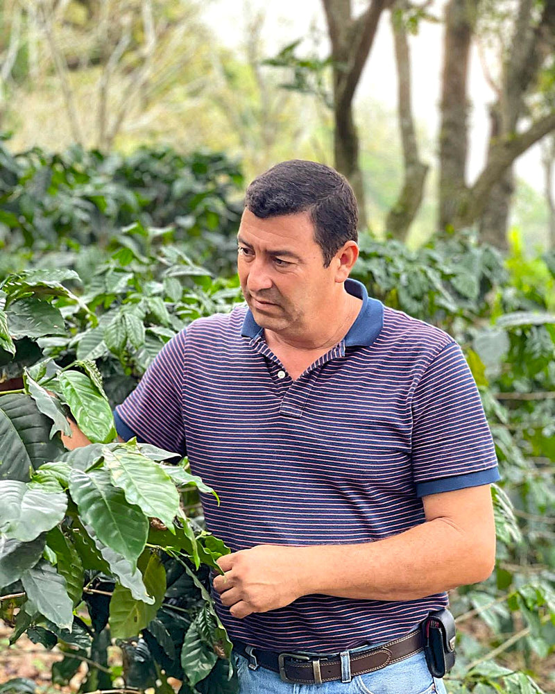 HONDURAS ORGANIC OCOTEPEQUE FINCA EL ALTO - 38134 - GrainPro Bags - SPOT RCWHSE