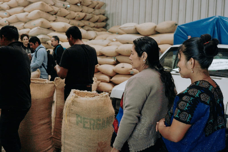 DECAF MEXICO FT-FLO ORGANIC MAJOMUT ROYAL SELECT WATER PROCESS - 37107-2 - SPOT COSEATAC