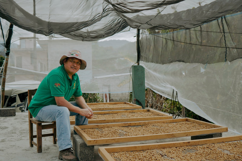 DECAF MEXICO FT-FLO ORGANIC MAJOMUT ROYAL SELECT WATER PROCESS - 37107 - SPOT RCWHSE