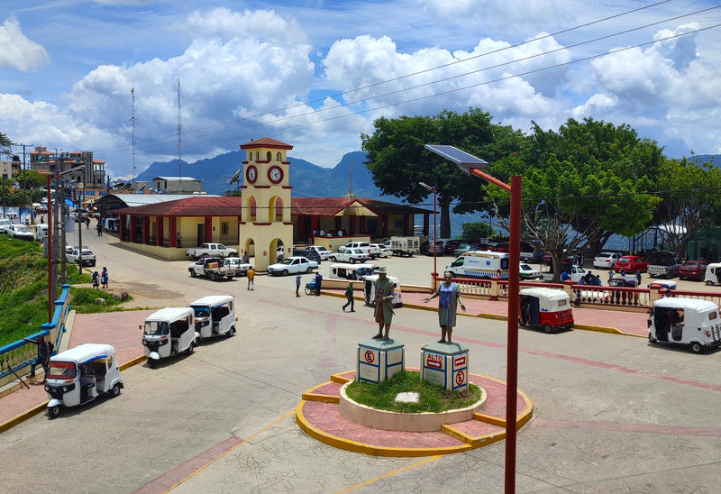 MEXICO FT-FLO ORGANIC CHIAPAS CABONOCH HG EP - 33836-1 - GrainPro Bags - SPOT SHANGHAI