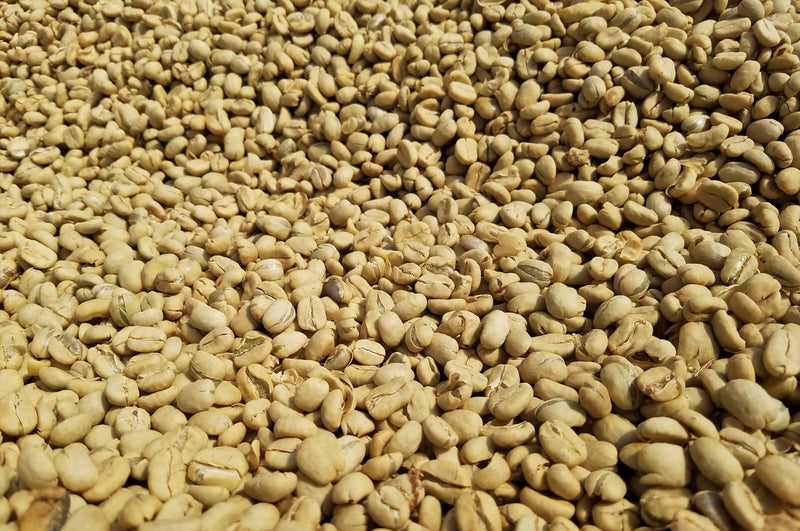 MEXICO ORGANIC OAXACA MIXTECA GUADALUPE MIRAMAR - 28108-2 - GrainPro Bags - SPOT SEAFORTH