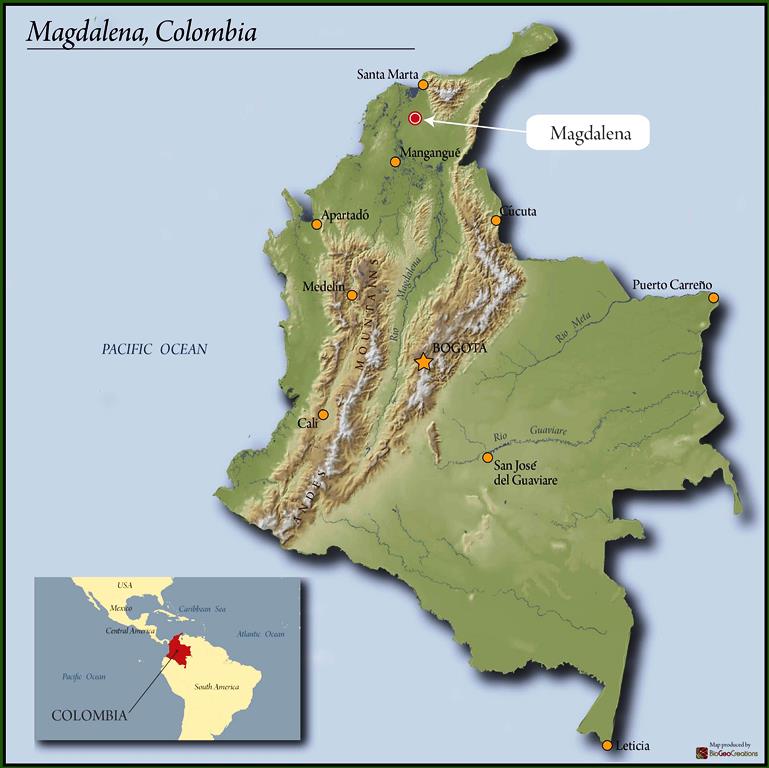 COLOMBIA ORGANIC SMITHSONIAN BIRD FRIENDLY SIERRA NEVADA SANTO DOMINGO DE LA SIERRA - 31696 - 69.9 kg Bags - SPOT RCWHSE
