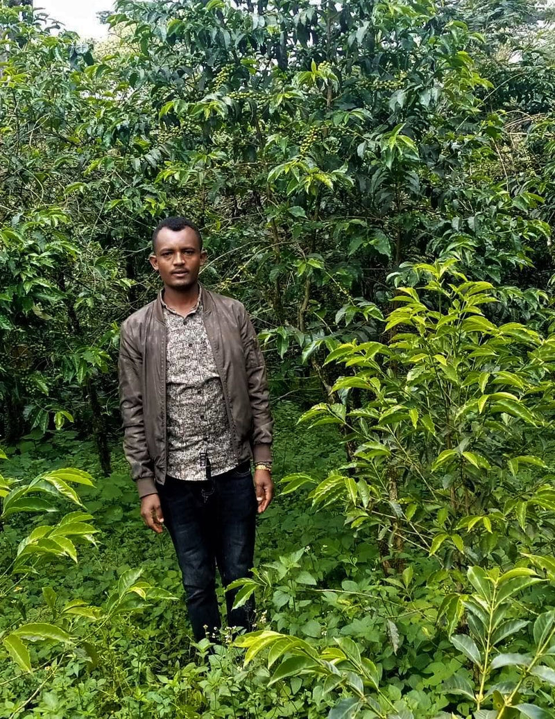 Ethiopia Farmgate COE National Select Jury Jimma 1 Natural Mamude Macca Digga - 29941 - GrainPro Bags - SPOT RCWHSE