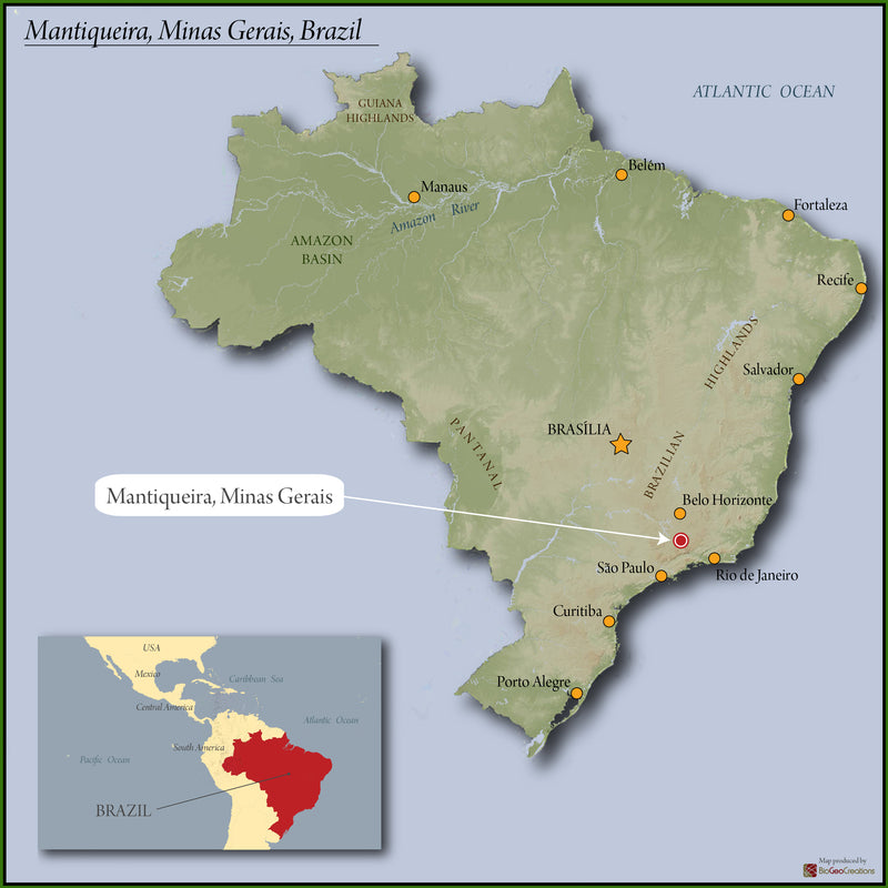 Brazil Mantiqueira de Minas SS FC 17/18 - 31176 - 60.0 kg Videplast Bags - SPOT RCWHSE