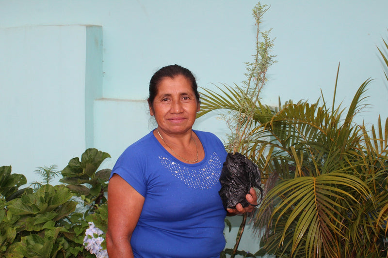 Crown Jewel Honduras Santa Elena Maria Elena Vásquez Solar Dried - *CJ1451* - 24769 - SPOT RCWHSE