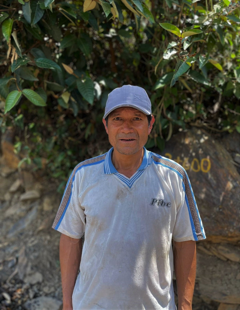 Peru Farmgate Mario Huaman Herrera Typica - 29803 - GrainPro Bags - SPOT RCWHSE