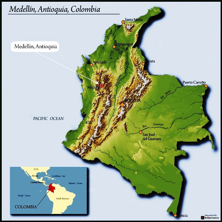 Colombia Medellin Excelso EP - 33619-3 - 70.0 kg Bags - SPOT COSEATAC