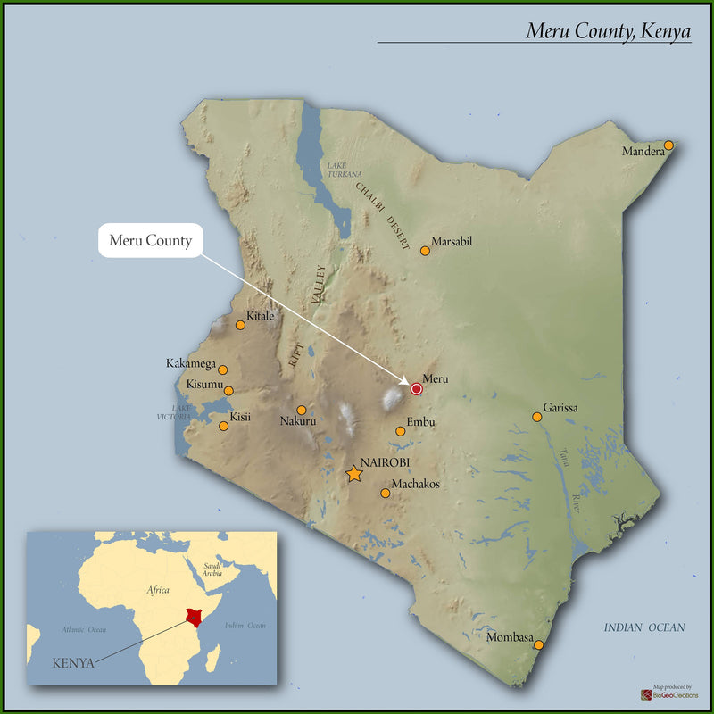 Kenya Meru Nthimbiri AA - 44KE2004 - 35178 - GrainPro Bags - SPOT RCWHSE
