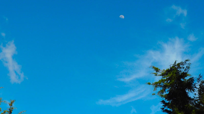 Mexico Altura HG EP - 35472-3 - SPOT SEAFORTH