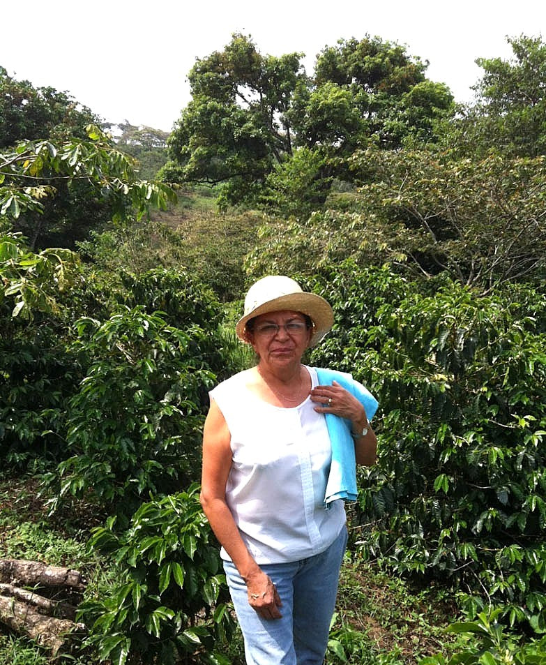 Mexico Huehuetapan Gesha Honey - 37716 - 30.0 kg Bags - SPOT SHANGHAI