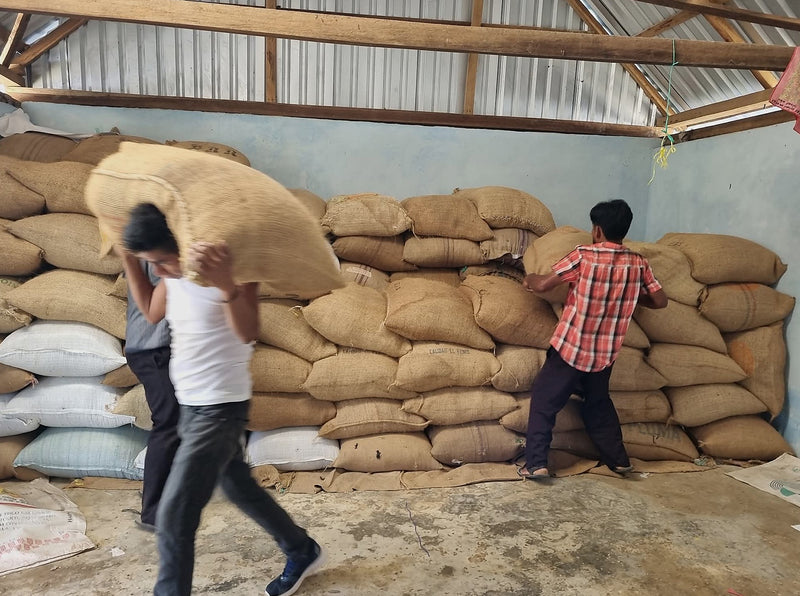 Mexico Oaxaca Mixteca San Miguel Guerrero - 37015-3 - GrainPro Bags - SPOT SEAFORTH