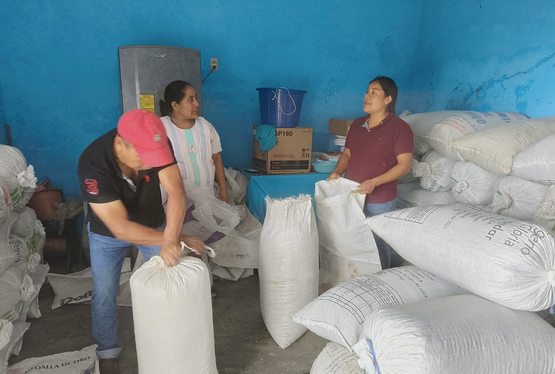 Mexico Oaxaca Pluma Santa Catarina Yaitepec - 36936 - GrainPro Bags - SPOT RCWHSE