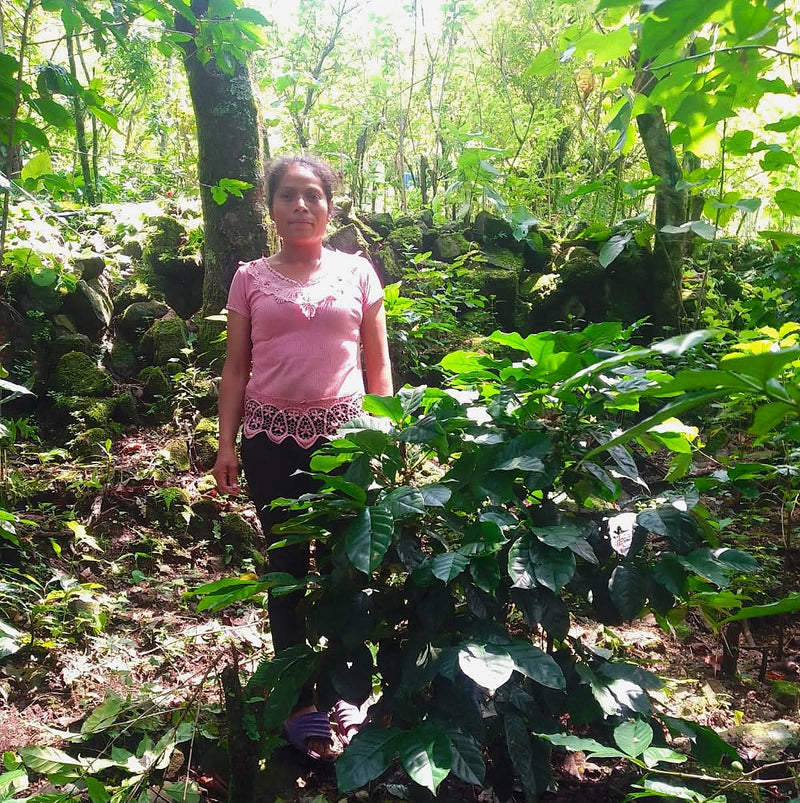 Mexico Oaxaca Pluma Sierra Sur Buenavista Loxicha - 39758-1 - Ecotact Bags - SPOT COSEATAC