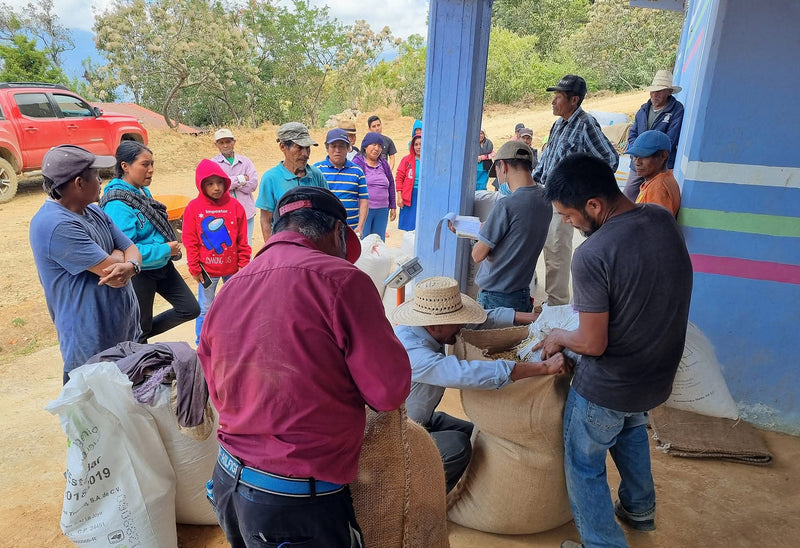 Mexico Oaxaca Sierra Norte Santo Domingo Cacalotepec - 37575 - SPOT RCWHSE